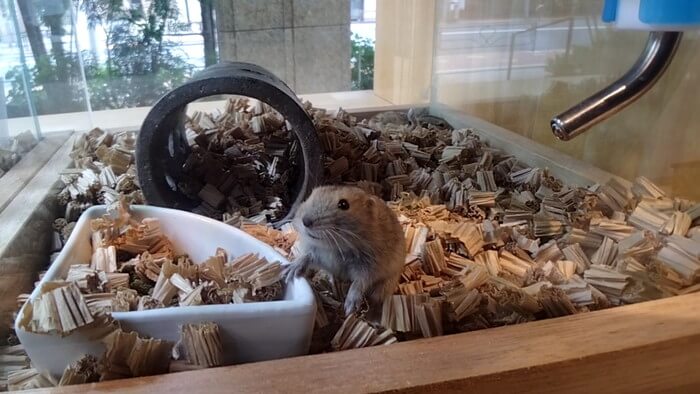 charm小石川店(チャーム小石川店)