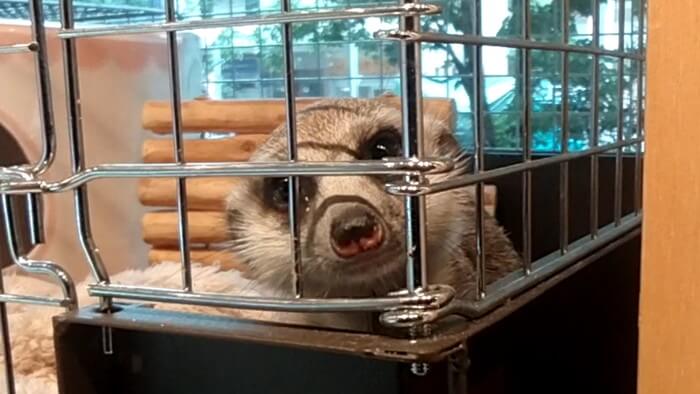 charm小石川店(チャーム小石川店)