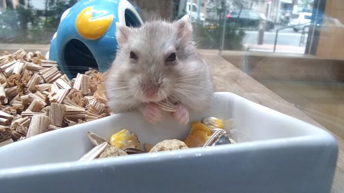 charm小石川店(チャーム小石川店)