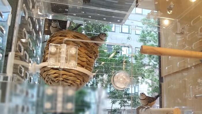 charm小石川店(チャーム小石川店)