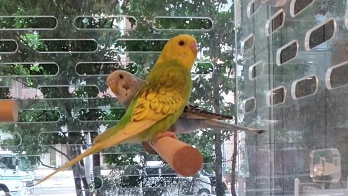 charm小石川店(チャーム小石川店)