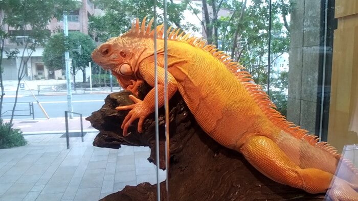 charm小石川店(チャーム小石川店)