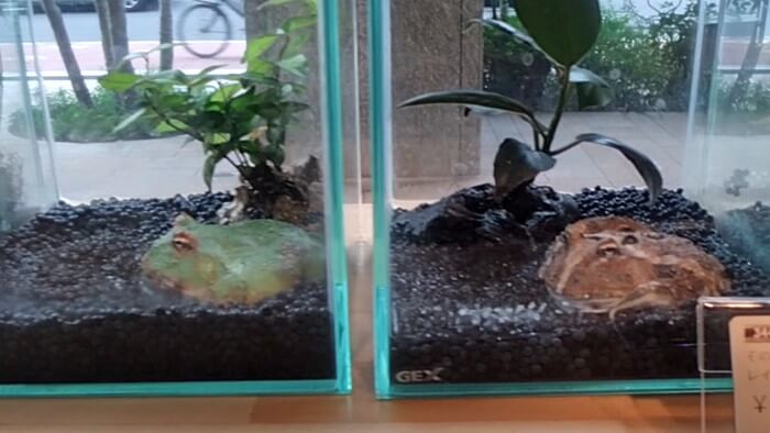 charm小石川店(チャーム小石川店)