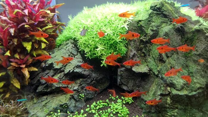 charm小石川店(チャーム小石川店)