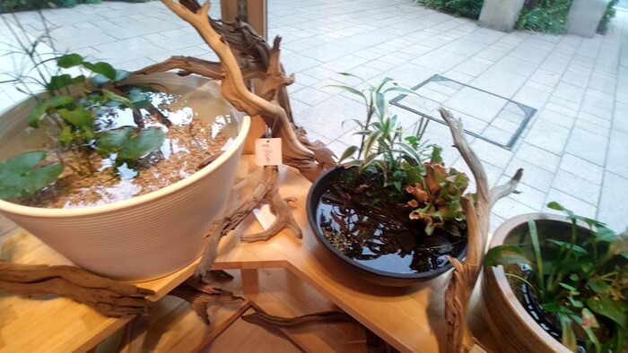 charm小石川店(チャーム小石川店)