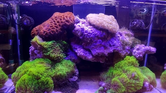 charm小石川店(チャーム小石川店)