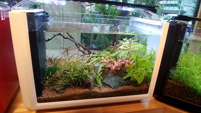 charm小石川店(チャーム小石川店)