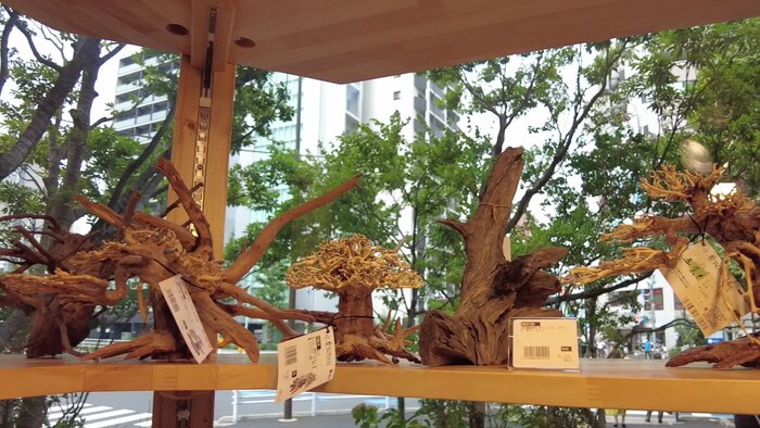 charm小石川店(チャーム小石川店)