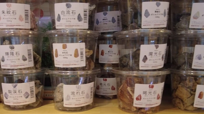 charm小石川店(チャーム小石川店)