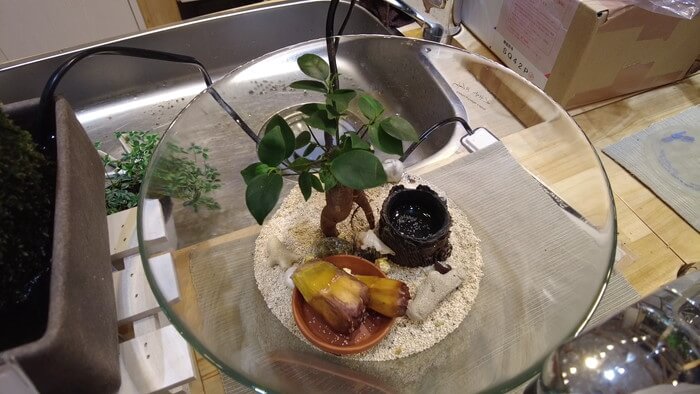 charm小石川店(チャーム小石川店)