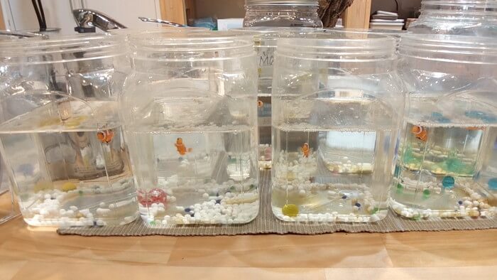 charm小石川店(チャーム小石川店)