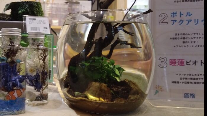 charm小石川店(チャーム小石川店) マップ