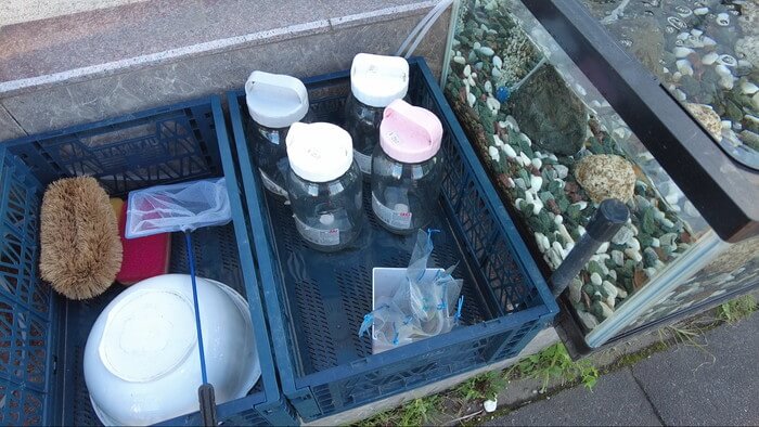 堀切めだか5号店／らんちゅう専門店らんらん