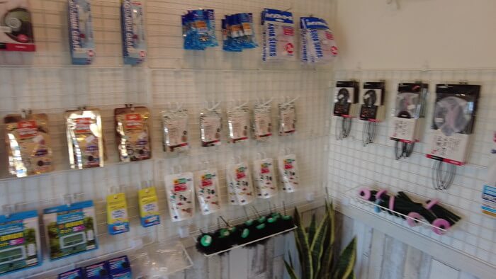 堀切めだか5号店／らんちゅう専門店らんらん