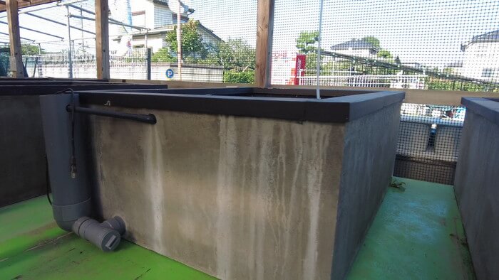 堀切めだか5号店／らんちゅう専門店らんらん