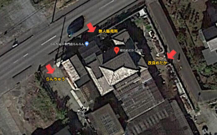 堀切めだか5号店／らんちゅう専門店らんらん