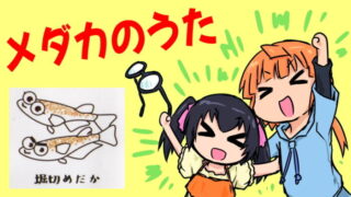 メダカのうた(堀切めだか)