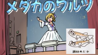 メダカのワルツ