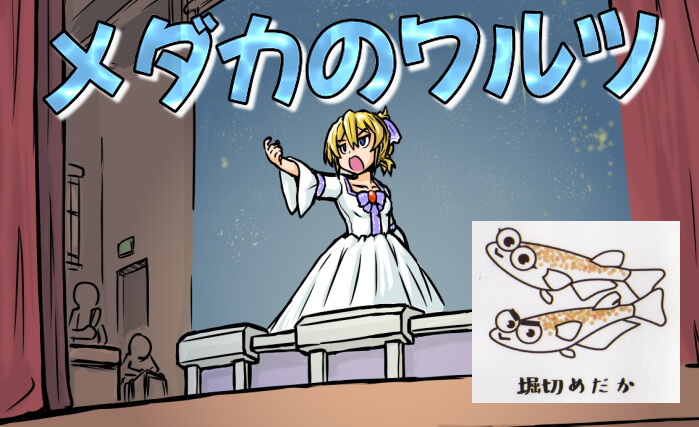 メダカのワルツ