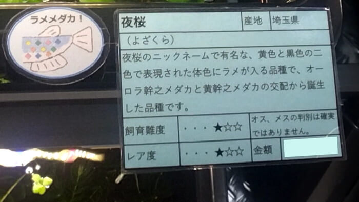 メダカとハンドメイドショップ すずや