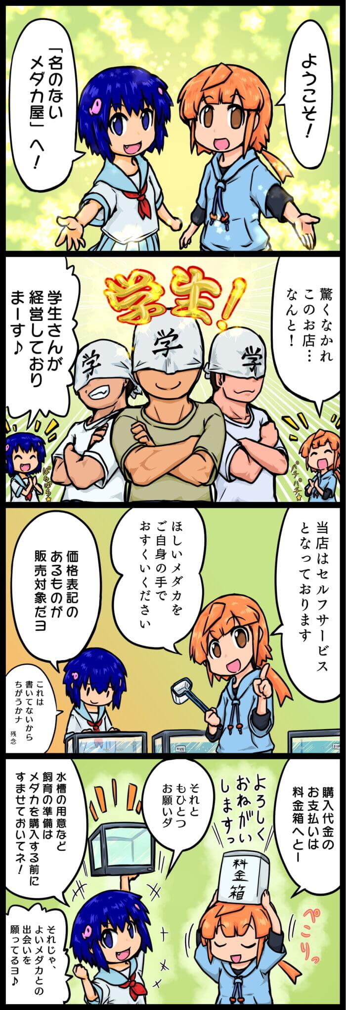 名のないメダカ屋 4コマまんが