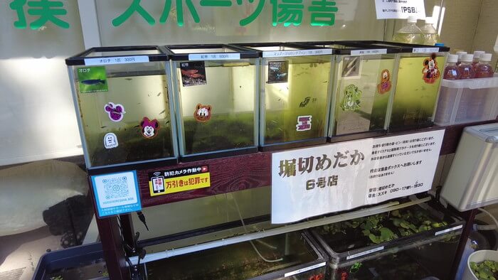 堀切めだか6号店