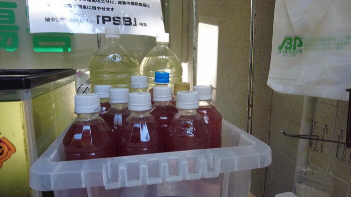 堀切めだか6号店