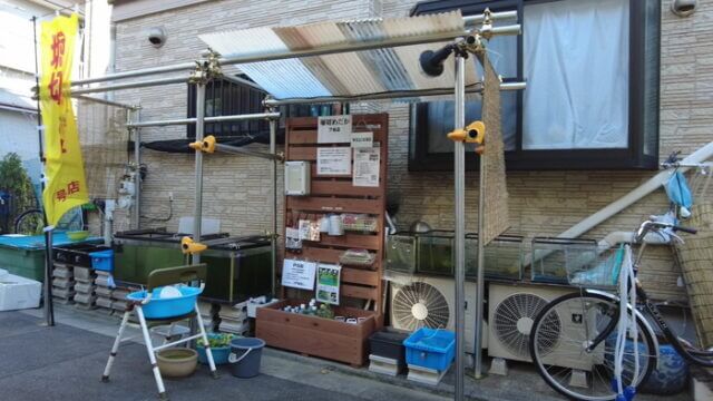 堀切めだか7号店