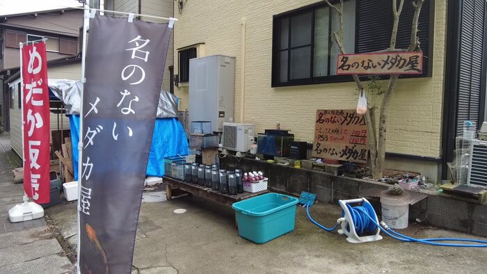 名のないメダカ屋