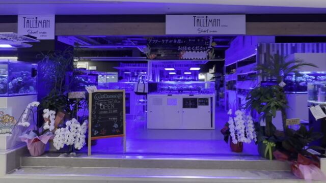 アクアリウムトールマン海浜幕張店ショートマン