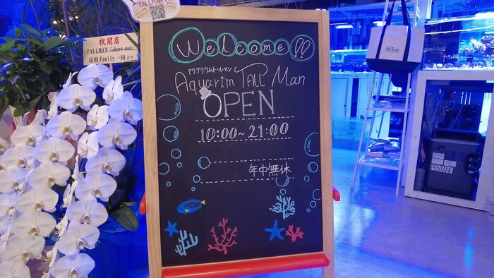 アクアリウムトールマン海浜幕張店ショートマン