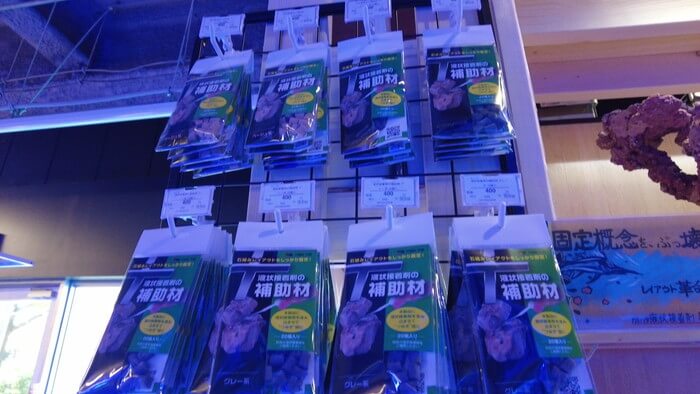 アクアリウムトールマン海浜幕張店ショートマン