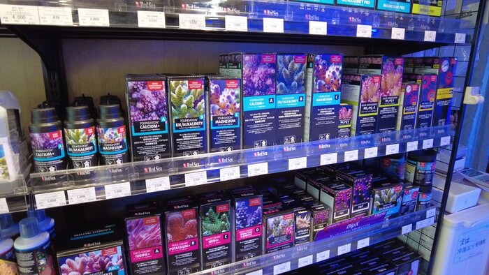 アクアリウムトールマン海浜幕張店ショートマン