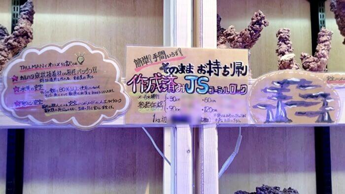 アクアリウムトールマン海浜幕張店ショートマン