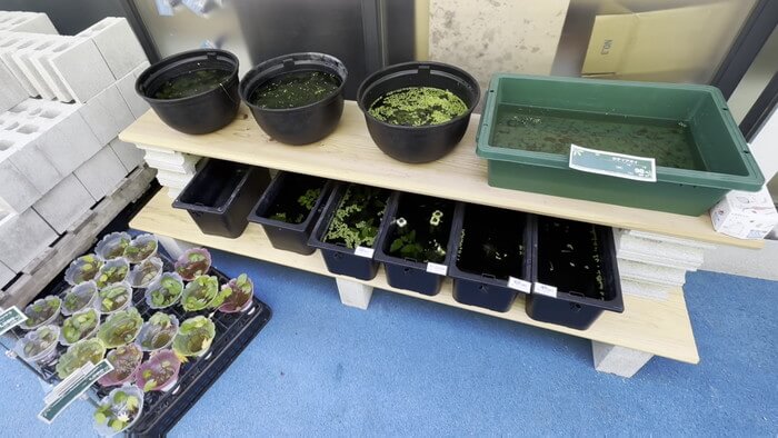 トールマン海浜幕張店