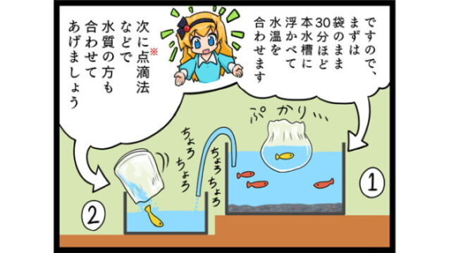 水合わせも最初が肝心!!点滴法ってなんだ!?