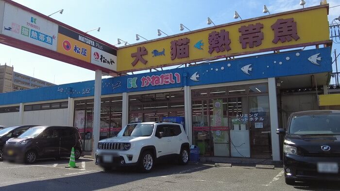 かねだい青梅店