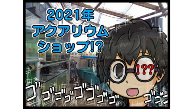 変わり過ぎるのでもうそういうものだと説明することにした…「御魚工房 阿舞座屋」