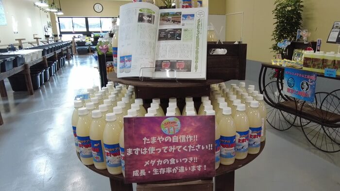 たまやメダカ 東京さくらモール店