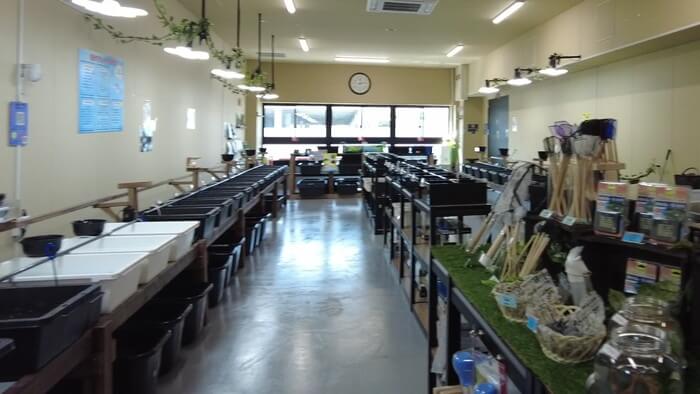 たまやメダカ 東京さくらモール店