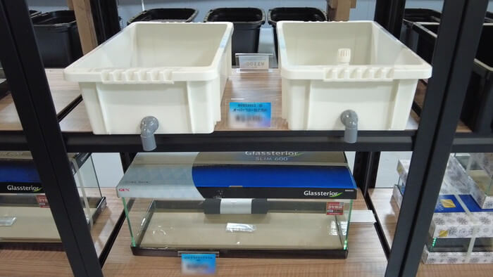 たまやメダカ 東京さくらモール店