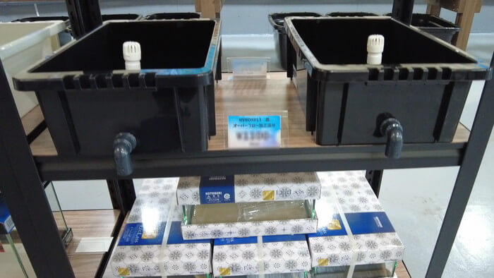 たまやメダカ 東京さくらモール店