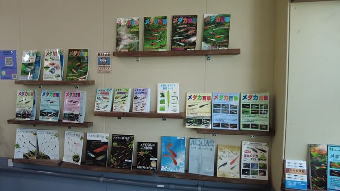 たまやメダカ 東京さくらモール店