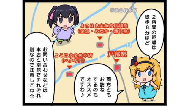 4コマ よこはま金魚