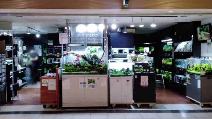 AQUA FOREST新宿店