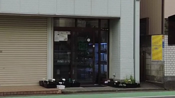 Plants Base (プランツベース)