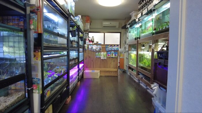 Plants Base (プランツベース) 相模大野