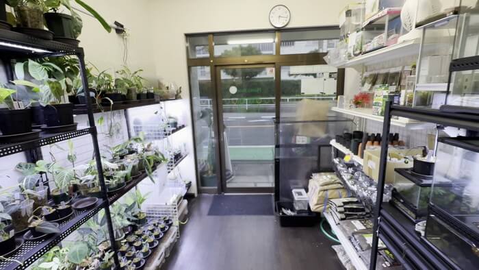 Plants Base (プランツベース) 相模大野