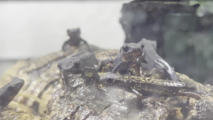 Plants Base (プランツベース) 相模大野