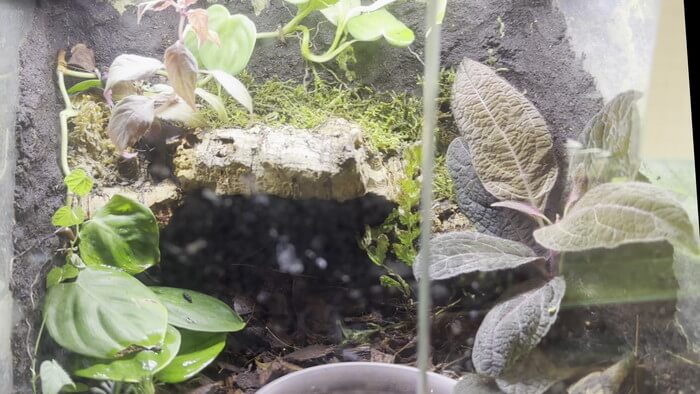 Plants Base (プランツベース) 相模大野